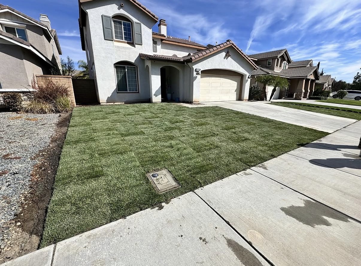 Front Yard Turf — finished result