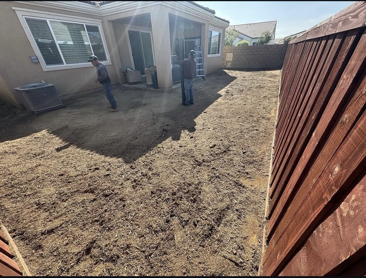 Backyard Makeover — before work started